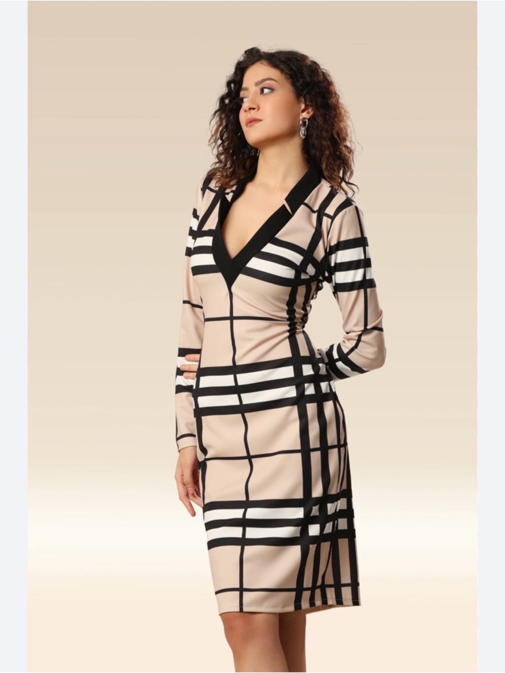 EUC Stylish Beige and Black Plaid V-Neck Long Sleeve Dress in Size Small